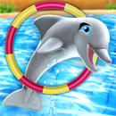 My Dolphin Show