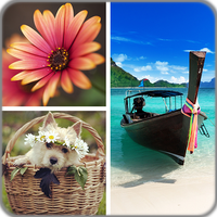 Photo Collage Editor